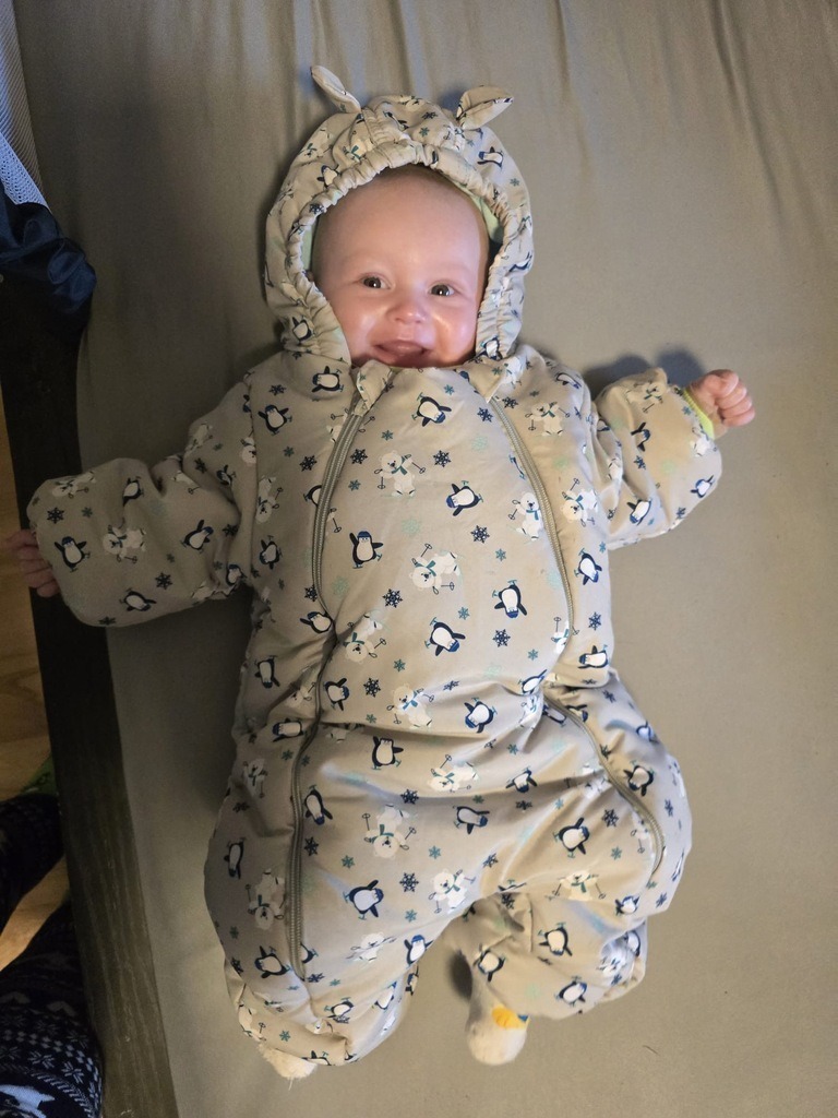 00f822fd-a926-42f0-8cc7-a51d1624d187 | phototaetig