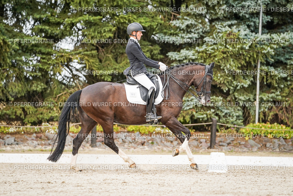 DSC09008 | Pferdegrafie