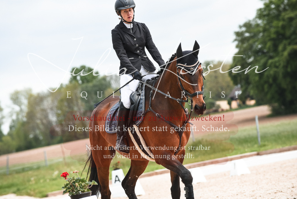 20230518_JK-Röhrsdorf-10-317 | Pferde- und Turnierfotografie in Westsachsen. Pferdeportraits, Auftragszeichnungen und intuitive Kunst.