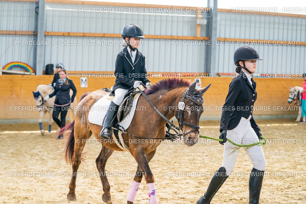 DSC00633 | Pferdegrafie