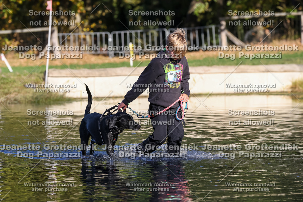 Dog Paparazzi - Strongdog 10-25-8797 | Dog Paparazzi Jeanette Grottendiek Fotografie & Videografie - Realisiert mit Pictrs.com