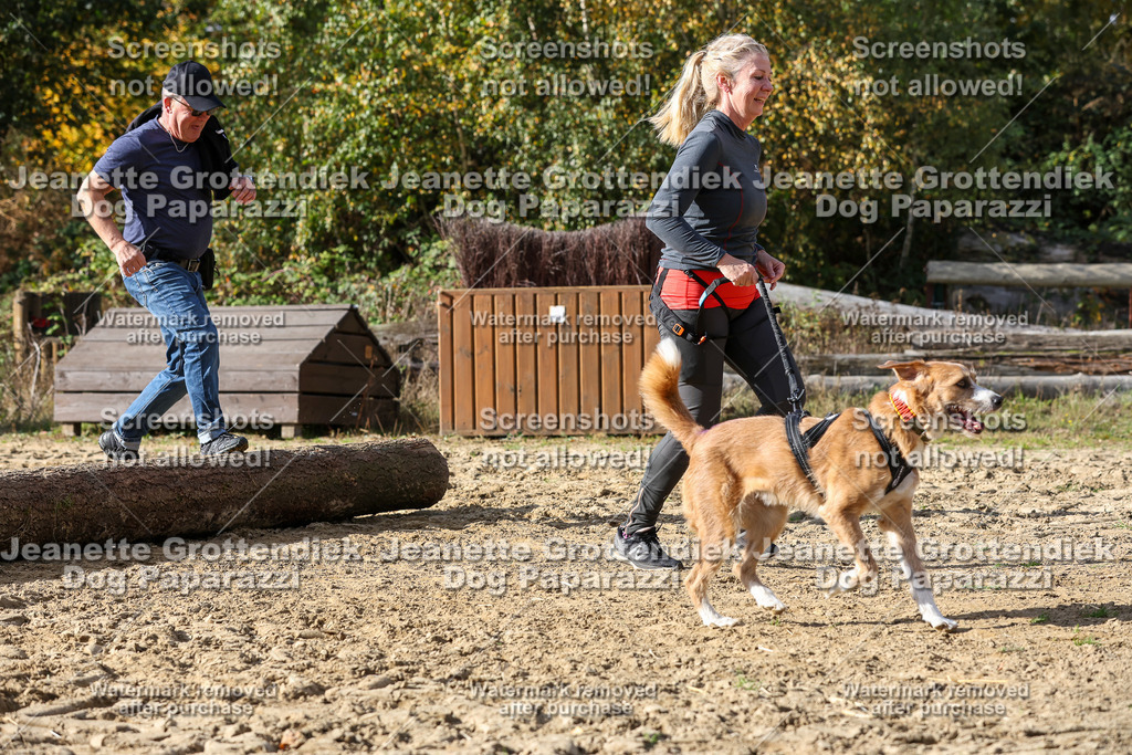 Dog Paparazzi - Strongdog 10-25-5637 | Dog Paparazzi Jeanette Grottendiek Fotografie & Videografie - Realisiert mit Pictrs.com