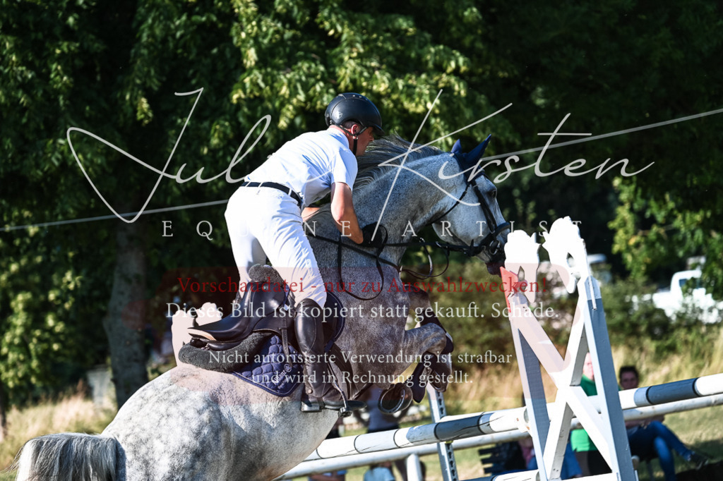 DSC_2832 | Pferde- und Turnierfotografie in Westsachsen. Pferdeportraits, Auftragszeichnungen und intuitive Kunst.