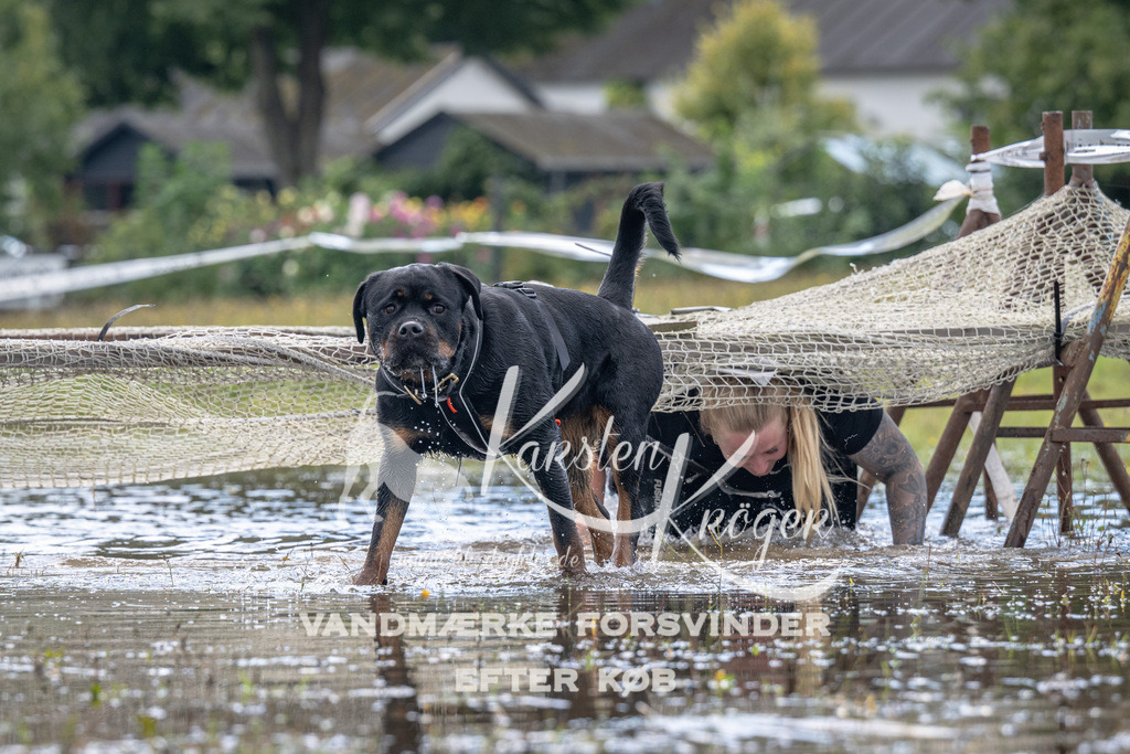 1319_ZZ90835 | kk-dogfotos