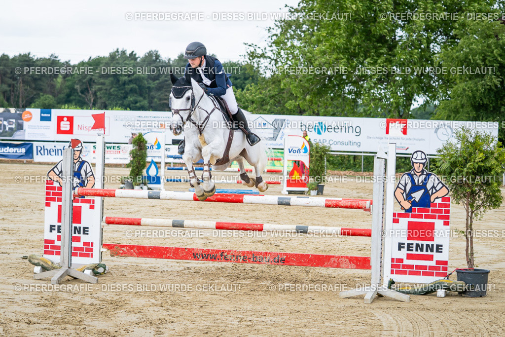 DSC04249 | Pferdegrafie