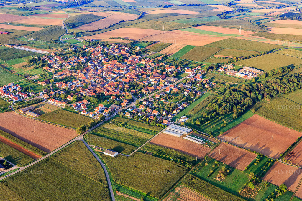 Vue aérienne: Vue de la ville depuis le nord-ouest à Saessolsheim dans le département Bas Rhin, France – .Photo: IMG_138041.jpg prise le 19/08/2023 par Werner Riehm/FLY-FOTO.eu – Résolution de l'original: 5472 x 3648 px