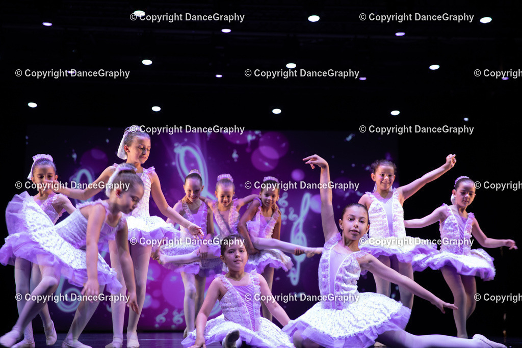 GPHY4848 | DanceGraphy - Realisiert mit Pictrs.com