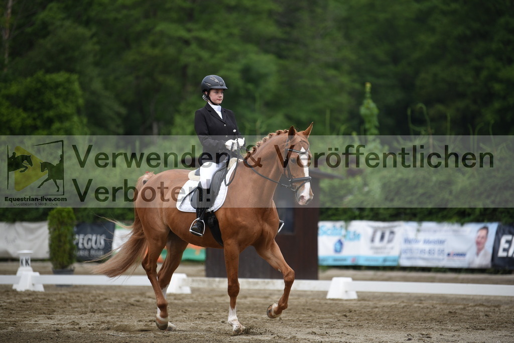 DSC_7970 | equestrian-live-com