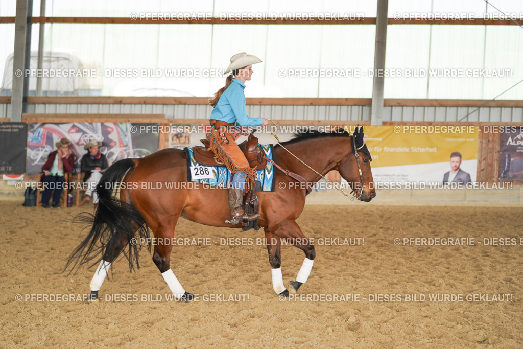 DSC00859 | Pferdegrafie