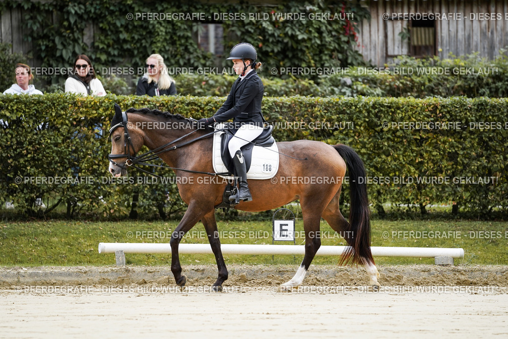 DSC04293 | Pferdegrafie