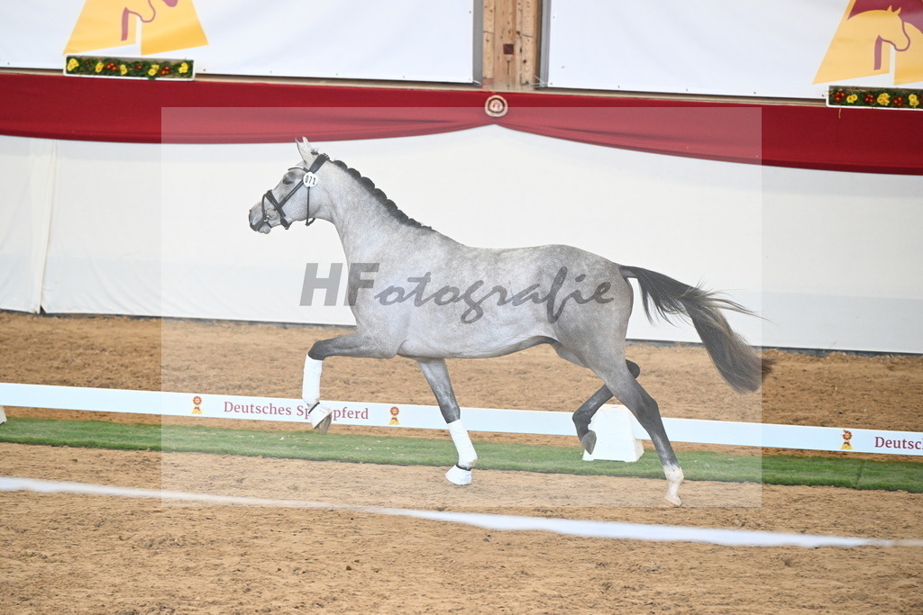 Kat.-Nr. 72 v. Johnson_Lehner_2250628 | hf-fotografie - Realisiert mit Pictrs.com
