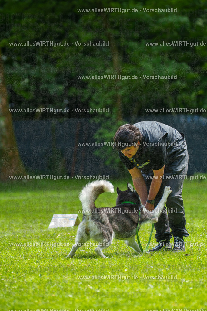 @allesWIRTHgut_Tierfotografie - www.allesWIRTHgut.de - 7R500971 | Professionelle Tierfotografie in Mönchengladbach von Daniel Wirth (allesWIRTHgut). Liebevolle & natürliche Bilder von Hunden & Katzen für unvergessliche Erinnerungen.