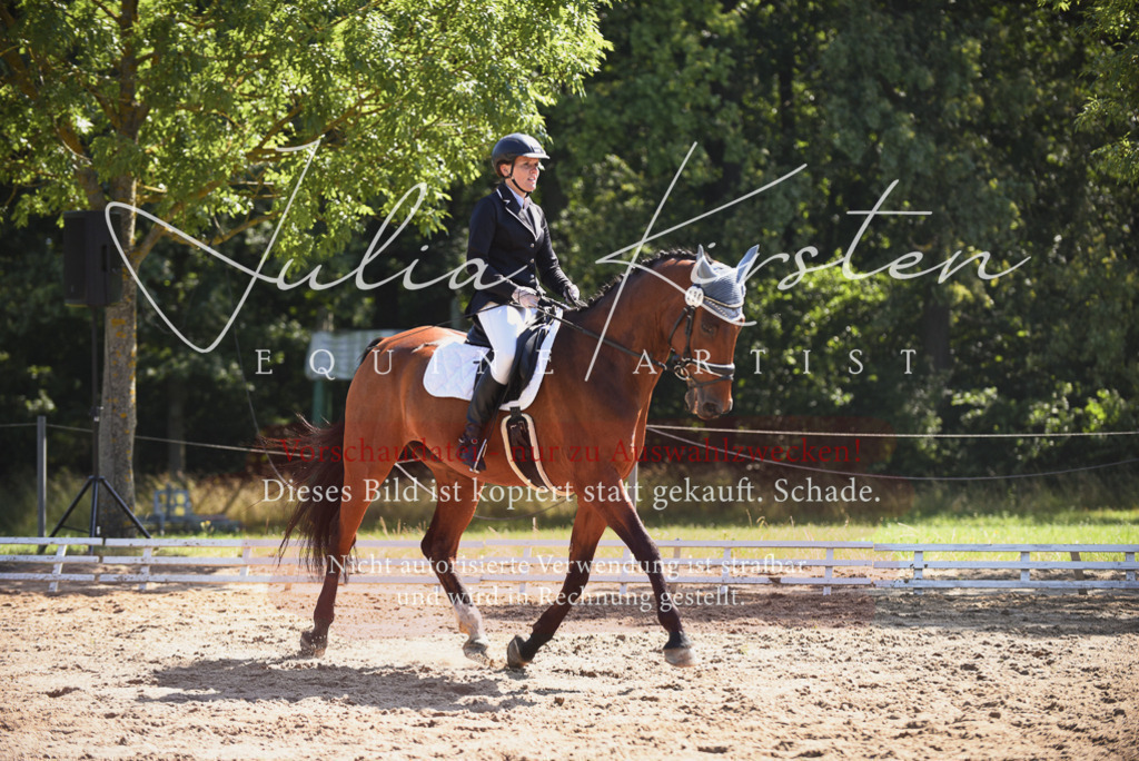 DSC_0437 | Pferde- und Turnierfotografie in Westsachsen. Pferdeportraits, Auftragszeichnungen und intuitive Kunst.