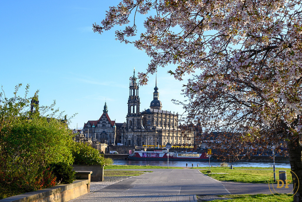 9482-DOM-DD-Blüten-View. | Geschenke, Wandbilder und Accessoires mit Motiven aus Dresden und anderen schönen Orten zur Verschönerung Deines zu Hauses und zum verschenken gewünscht? Wähle Deine Lieblingsbild auf dem Produkt Deiner Wahl. 