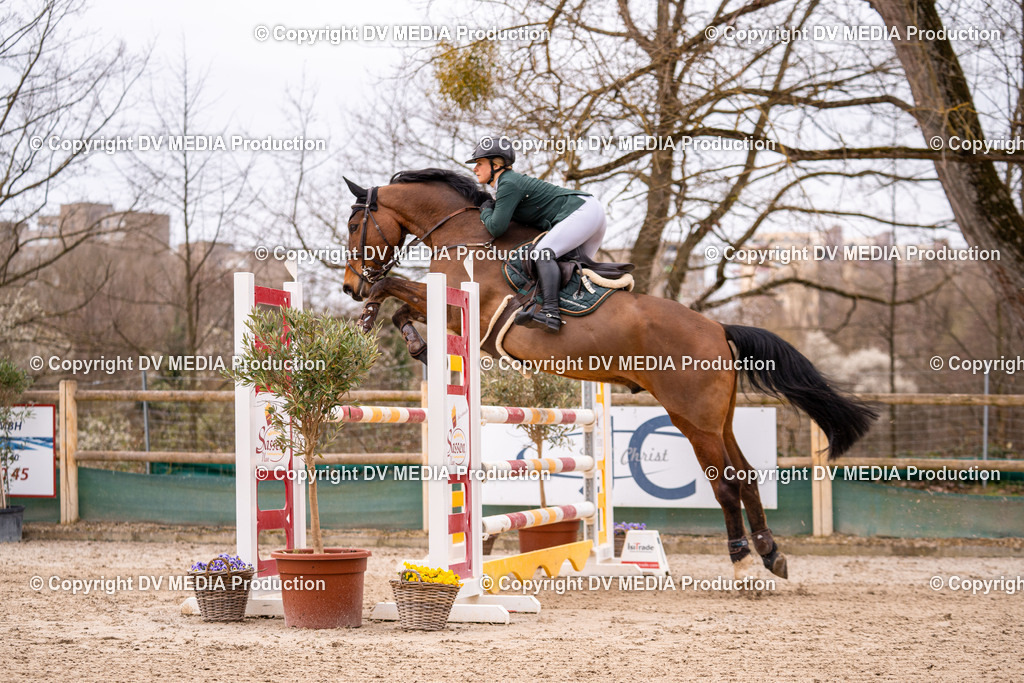 Kranichstein Tag 2-479 | dv-media-shop - Realisiert mit Pictrs.com