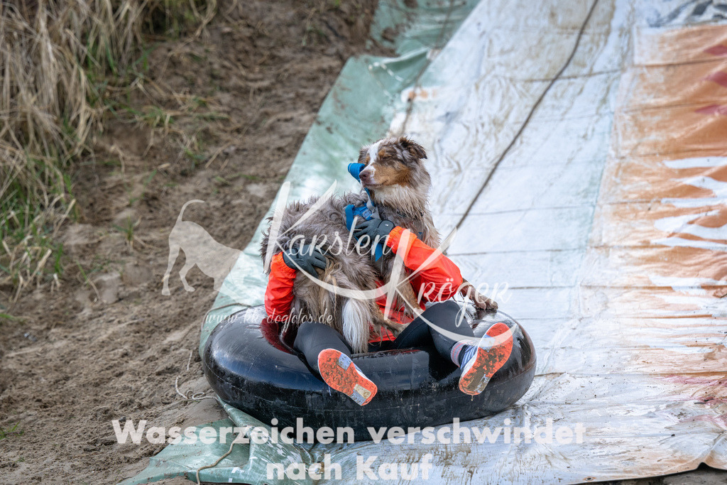 1617_ZZ94784 | kk-dogfotos