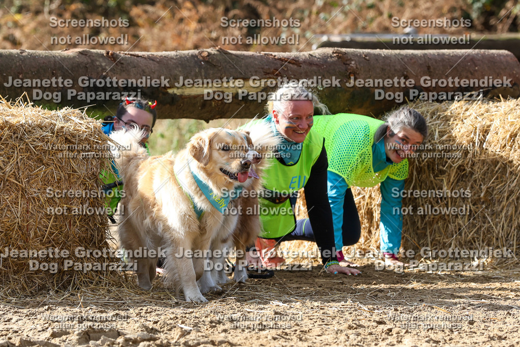 Dog Paparazzi - Strongdog 10-25-5585 | Dog Paparazzi Jeanette Grottendiek Fotografie & Videografie - Realisiert mit Pictrs.com