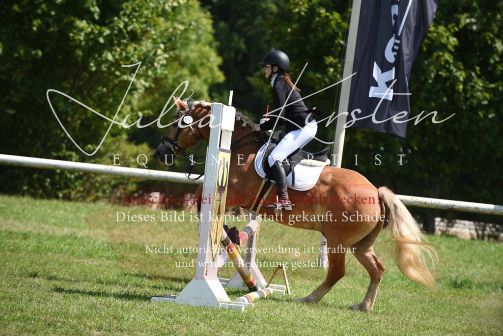 DSC_9945 | Pferde- und Turnierfotografie in Westsachsen. Pferdeportraits, Auftragszeichnungen und intuitive Kunst.