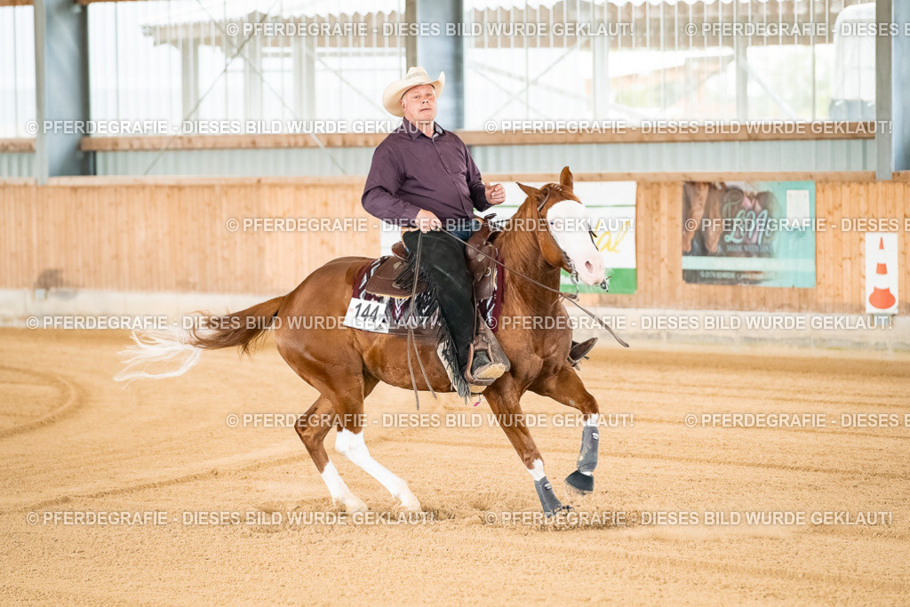 DSC01510 | Pferdegrafie