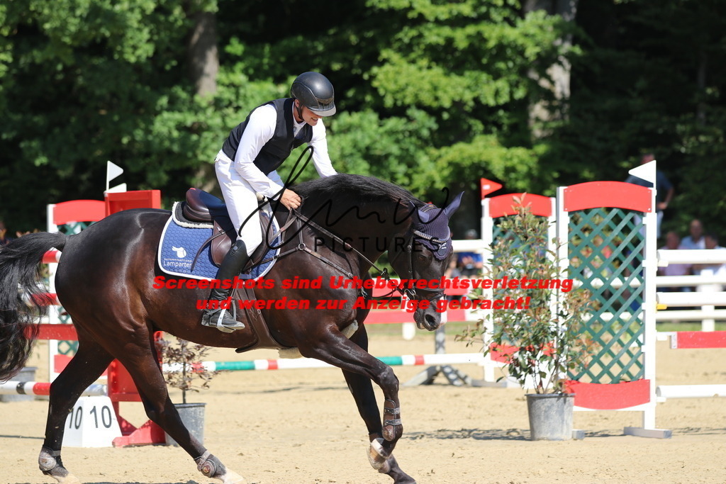 IMG_3176 | lmwpictures - Realisiert mit Pictrs.com