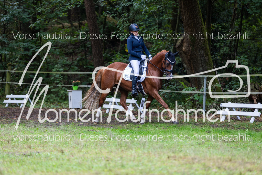 HB-A-Dressur-142 | MomenTaufnahmen Pferdesportfotos