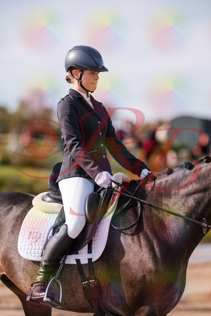 2026_10_03_Siefer-Hof_113249_Z81_79000042 | Professionelle Reitsport-, Turnier- und Eventfotografie von Robert Broda. Galerien mit ausgewählten und bearbeiteten Bildern direkt online ansehen und bestellen.