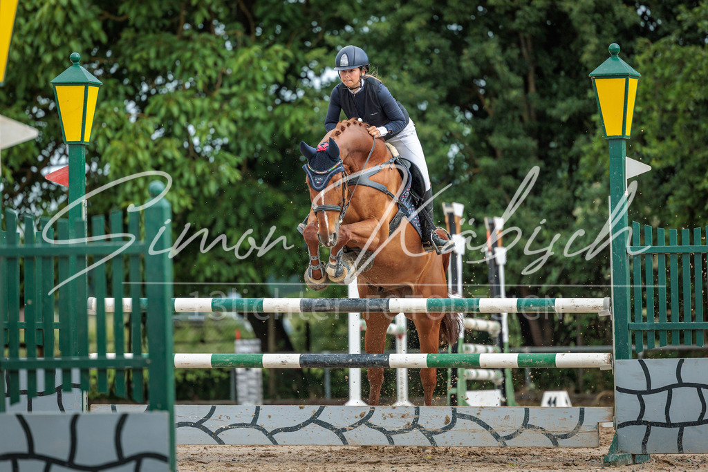 20260530-_3LI2525 | Tierfotografie Pferde, Hunde, Katzen, Haustiere.
Turnierfotografie Reitturniere, Reiten, Springreiten, Dressur in Hanau, dem Main-Kinzig-Kreis und dem Rhein-Main- Gebiet um Frankfurt