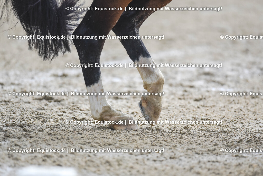20240519_03_GP-Special-Tour_0163 | Foto: Thomas Hartig