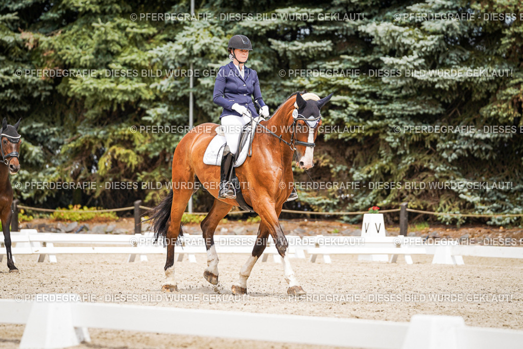 DSC04048 | Pferdegrafie