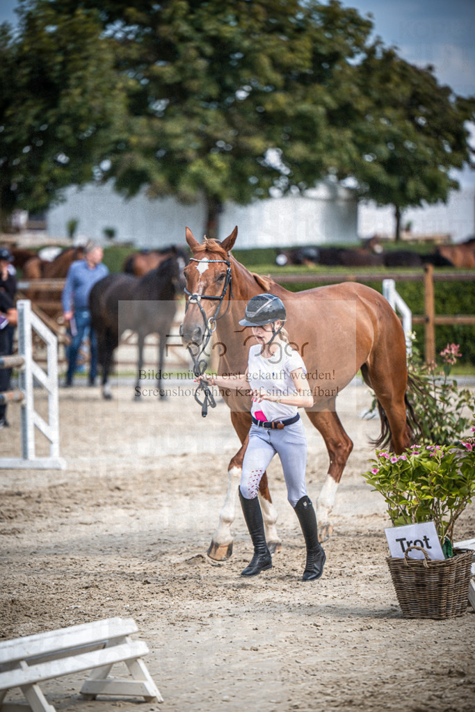 DOS_0760 | Entdecke hochwertige Reitturnierfotos von Foto Oger. Professionell, emotional und authentisch – jetzt Lieblingsmomente im Shop bestellen.Deutschlandweite Turnierfotografie. - Realisiert mit Pictrs.com