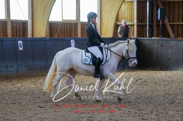 IMG_1152 | Turniersportfotografie; Pferdefotografie; Dressurfotografie