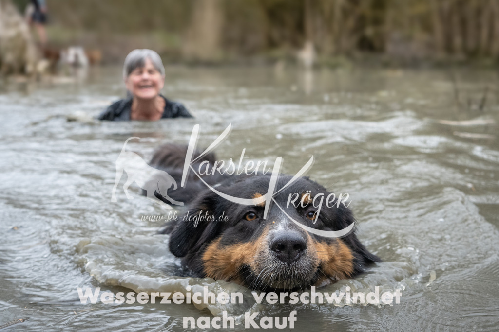 1101_ZZ94863 | kk-dogfotos