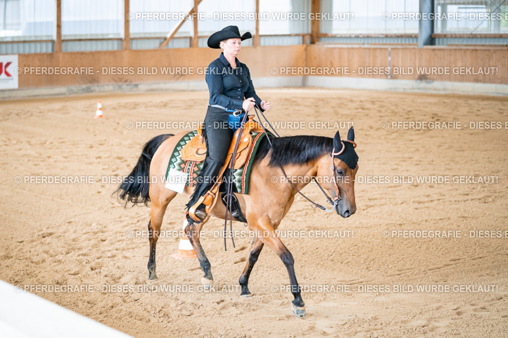 DSC01902 | Pferdegrafie