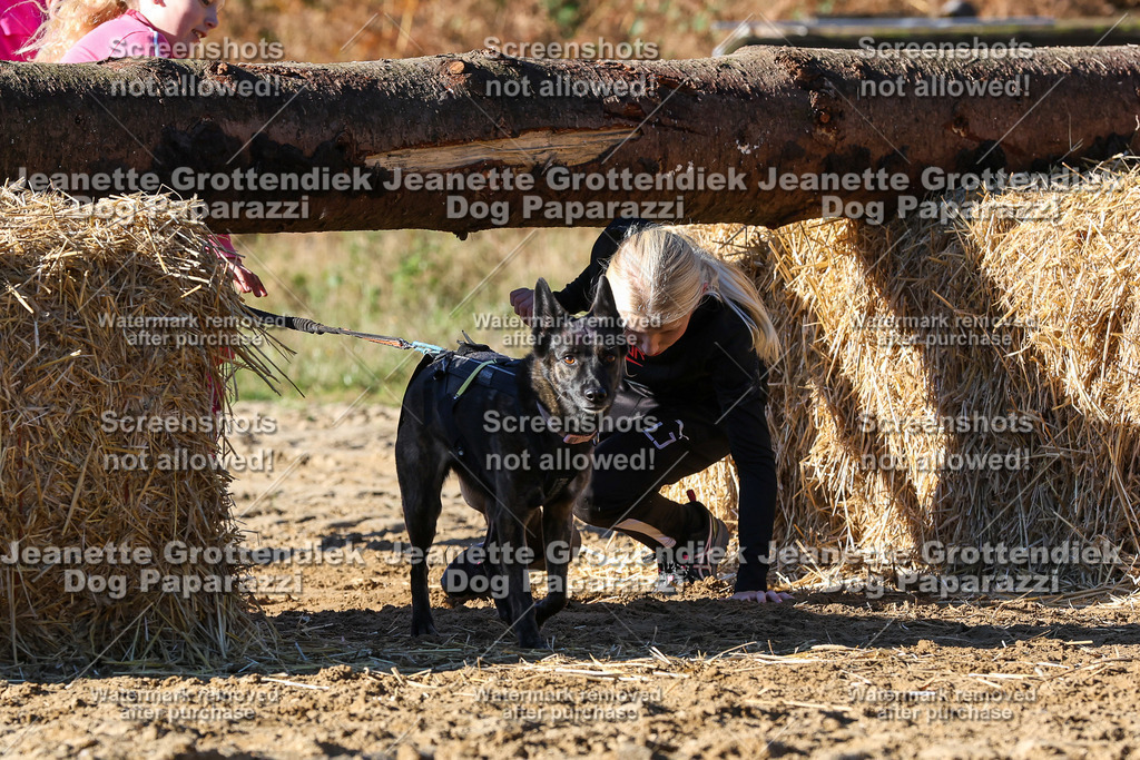 Dog Paparazzi - Strongdog 10-25-2110 | Dog Paparazzi Jeanette Grottendiek Fotografie & Videografie - Realisiert mit Pictrs.com