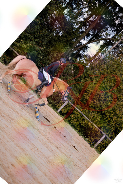 2026_10_03_Siefer-Hof_145227_Z81_31435220 | Professionelle Reitsport-, Turnier- und Eventfotografie von Robert Broda. Galerien mit ausgewählten und bearbeiteten Bildern direkt online ansehen und bestellen.