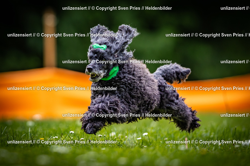 Sven Pries | 2025-05-29 - Pudelrennen KA-Durlach - Realisiert mit Pictrs.com