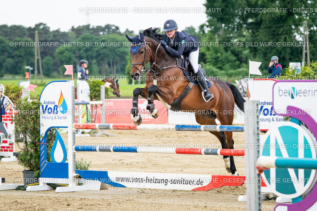 DSC05680 | Pferdegrafie