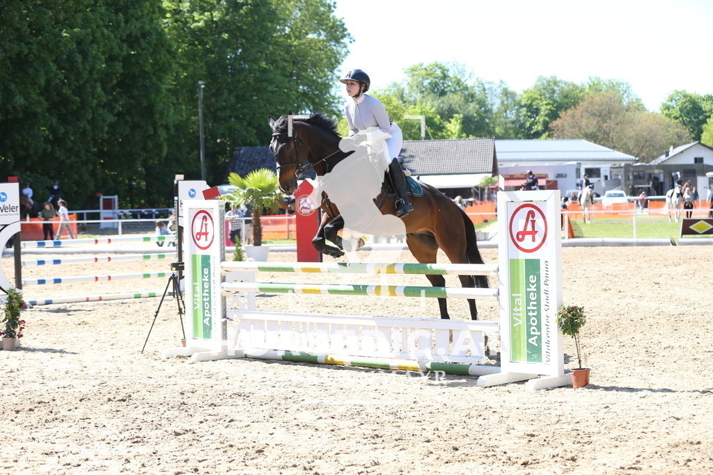 DL2Q2070 | Willkommen bei Brunnmayr - Design & Fotografie – Ihrem Spezialisten für Reitturniere und Pferdeveranstaltungen in Oberösterreich, Salzburg und Bayern! Seit über 17 Jahren sind wir leidenschaftlich dabei.