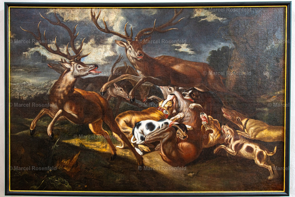 _DSC5432 | foto-rosenfeld