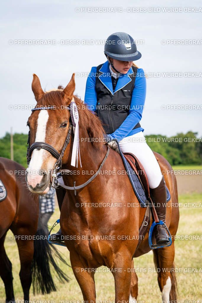 DSC03106 | Pferdegrafie