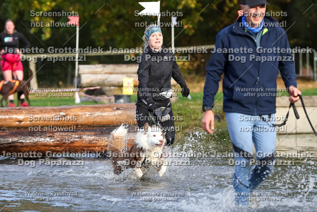 Dog Paparazzi - Strongdog 10-25-7044 | Dog Paparazzi Jeanette Grottendiek Fotografie & Videografie - Realisiert mit Pictrs.com