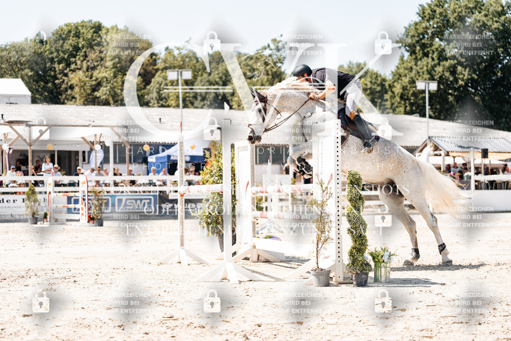 CK909929 | Turnierfotografie Pferdefotografie Trier Rheinland-Pfalz Pferdesport Reitsport Tierfotografie Sportfotografie Pferdevideo Pferdevideografie Equestrianvideography equestrianphotography  - Realisiert mit Pictrs.com