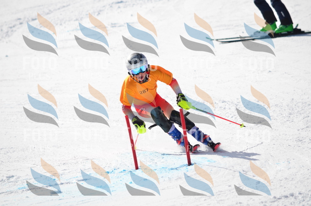 C8673 | holidayphoto