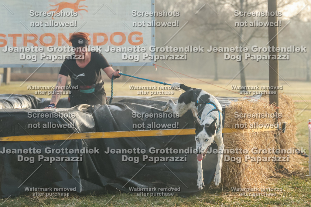 Dog Paparazzi - SD North 0326 Sa8-830-8 | Dog Paparazzi Jeanette Grottendiek Fotografie & Videografie - Realisiert mit Pictrs.com