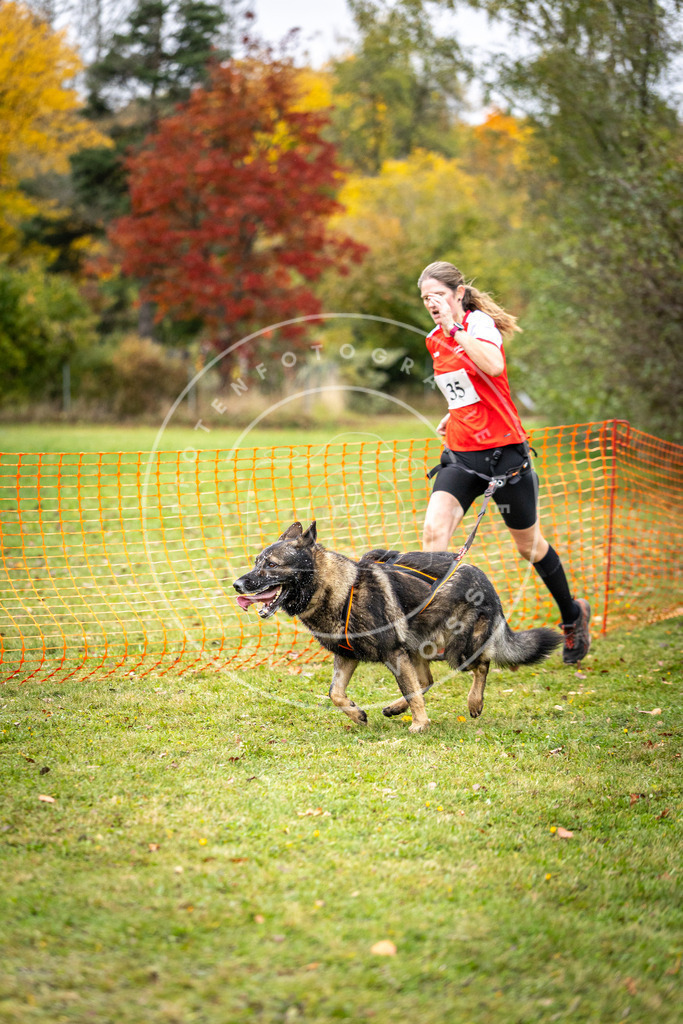 Pfotenfotografie_DV3A2219 | Hundefotografie, Tierfotograf, Pfotenfotografie, Fotoshooting Hund, Hunde Portrait, Hundesport, Hundeportraits, Heideshooting, Hunde, Sportfotograf, Hundefotograf, Turnierhundsport, THS,  - Realisiert mit Pictrs.com
