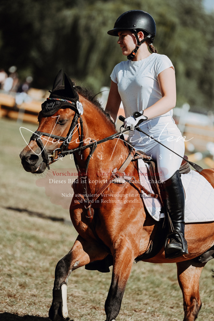DSC_9953 | Pferde- und Turnierfotografie in Westsachsen. Pferdeportraits, Auftragszeichnungen und intuitive Kunst.