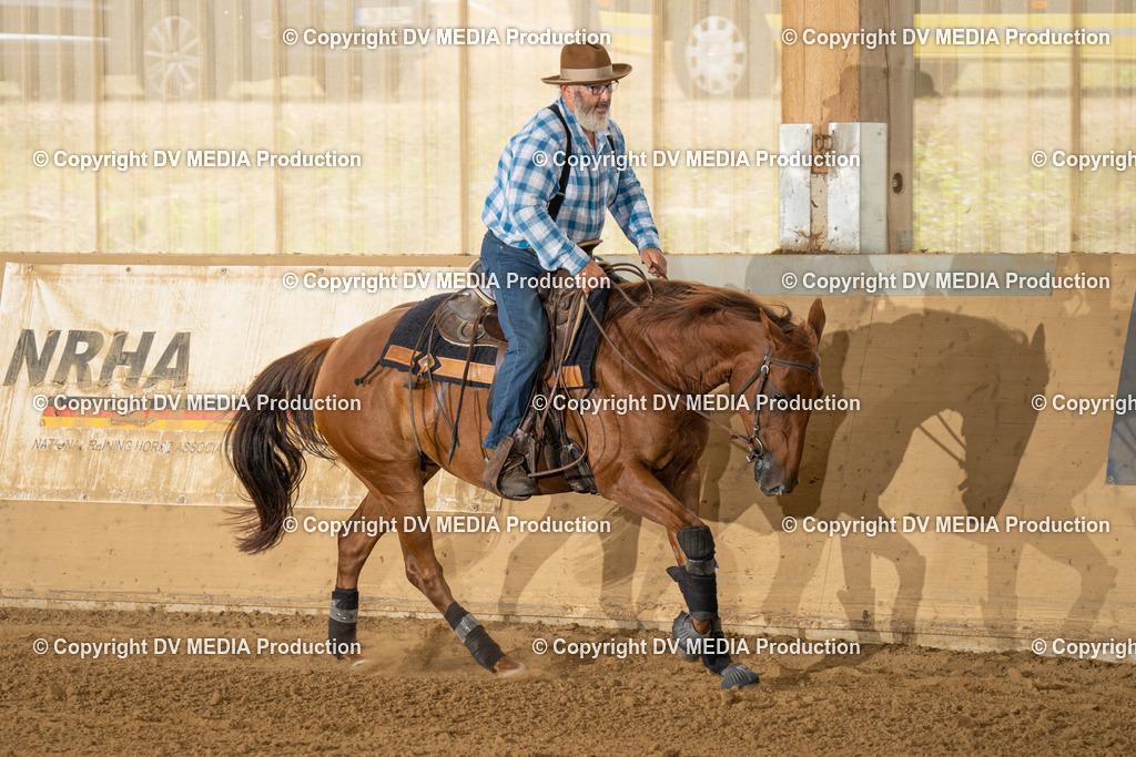 LAU01677 | dv-media-shop - Realisiert mit Pictrs.com