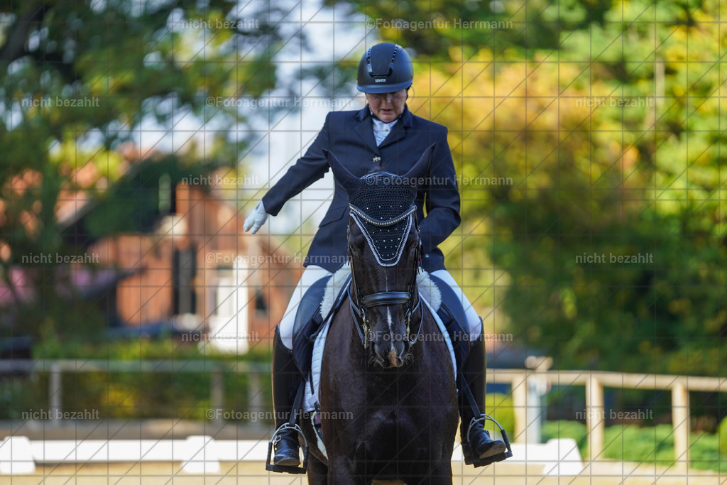 20221007-FAH00213 | Diessen am Ammersee, 2022, Dressur- und Springturnier, Reitsportbilder, Turnierfotografen Bayern, Pferdefotografen, Fotoagentur Herrmann, Turnierbilder