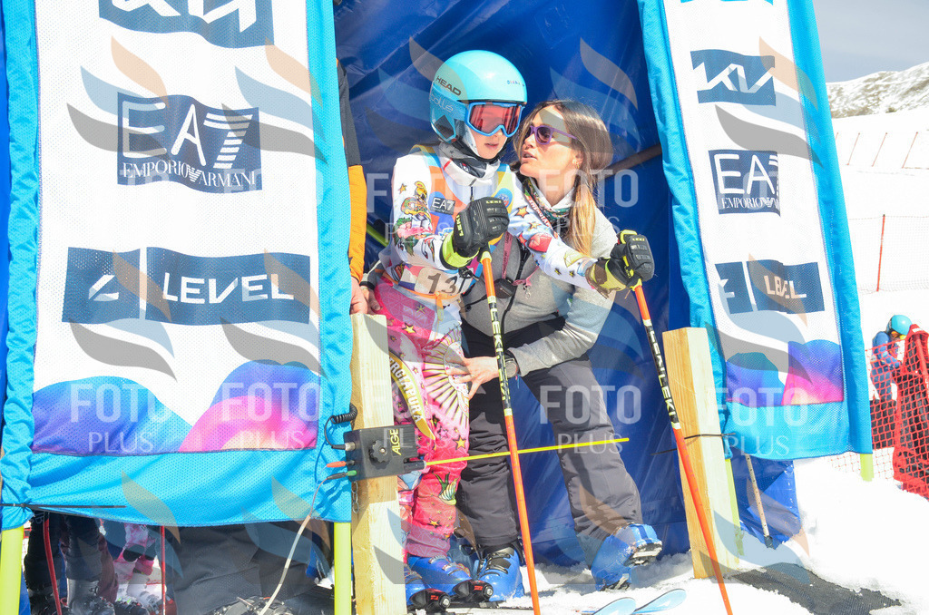 _ELE6185 | holidayphoto