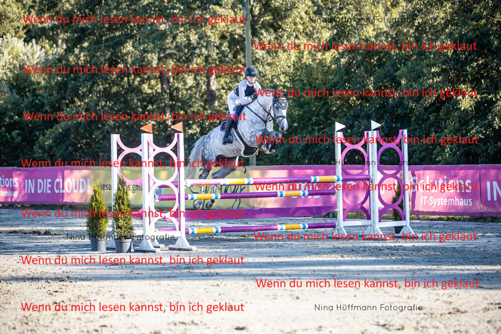 BK1A6202 | Turnierbilder Turnierfotos Nina Hüffmann Turnierfotografie Pferdefotografie Tierzeichnung Haustierzeichnung Pferdezeichnung Hundezeichnung Videograf  - Realisiert mit Pictrs.com